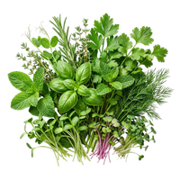 Herbs & Microgreens