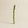 Asparagus Green Thailand
