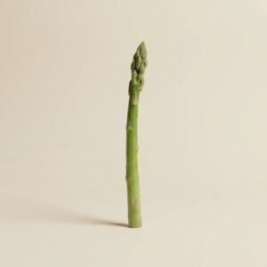 Asparagus Green Thailand