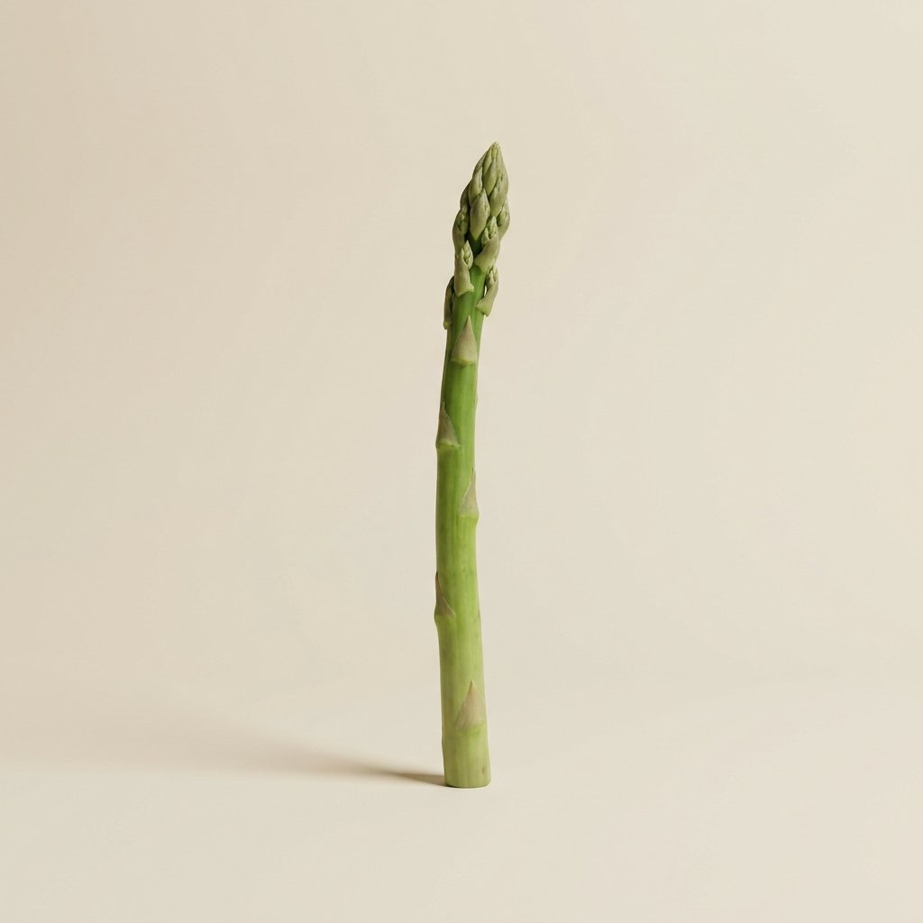Asparagus Green Thailand