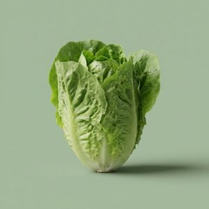 Baby Gem Lettuce