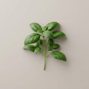 Basil Loose