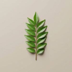 Curry Leaves
