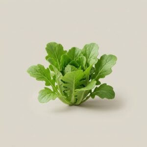 Lettuce Baby Roca