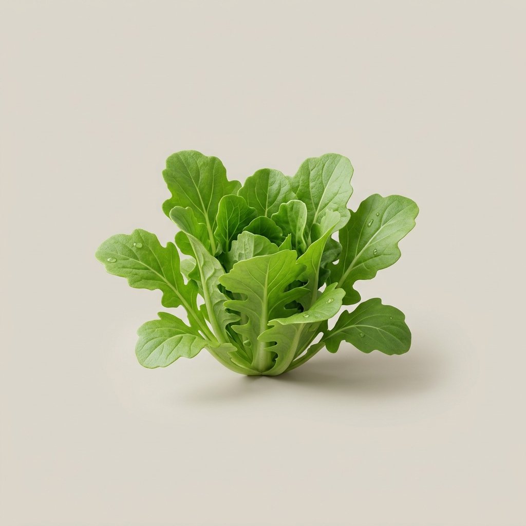 Lettuce Baby Roca