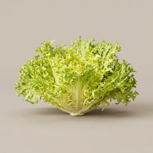 Lettuce Frisse Yellow