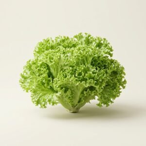 Lettuce Lolo Bionda