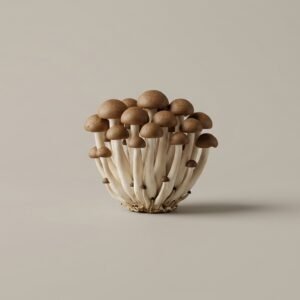 Mushroom Shimiji Brown
