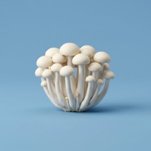 Mushroom Shimiji White