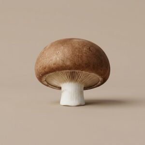 Mushroom Button Brown