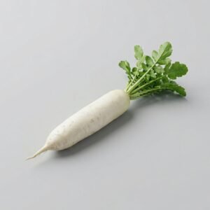 Radish White Daikon