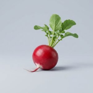 Radish Red Pp