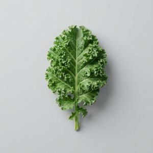 Kale Green(H)