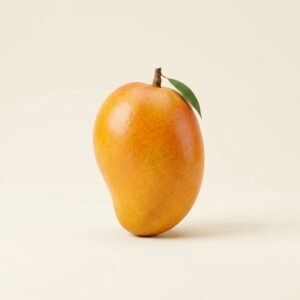 Mango S/A